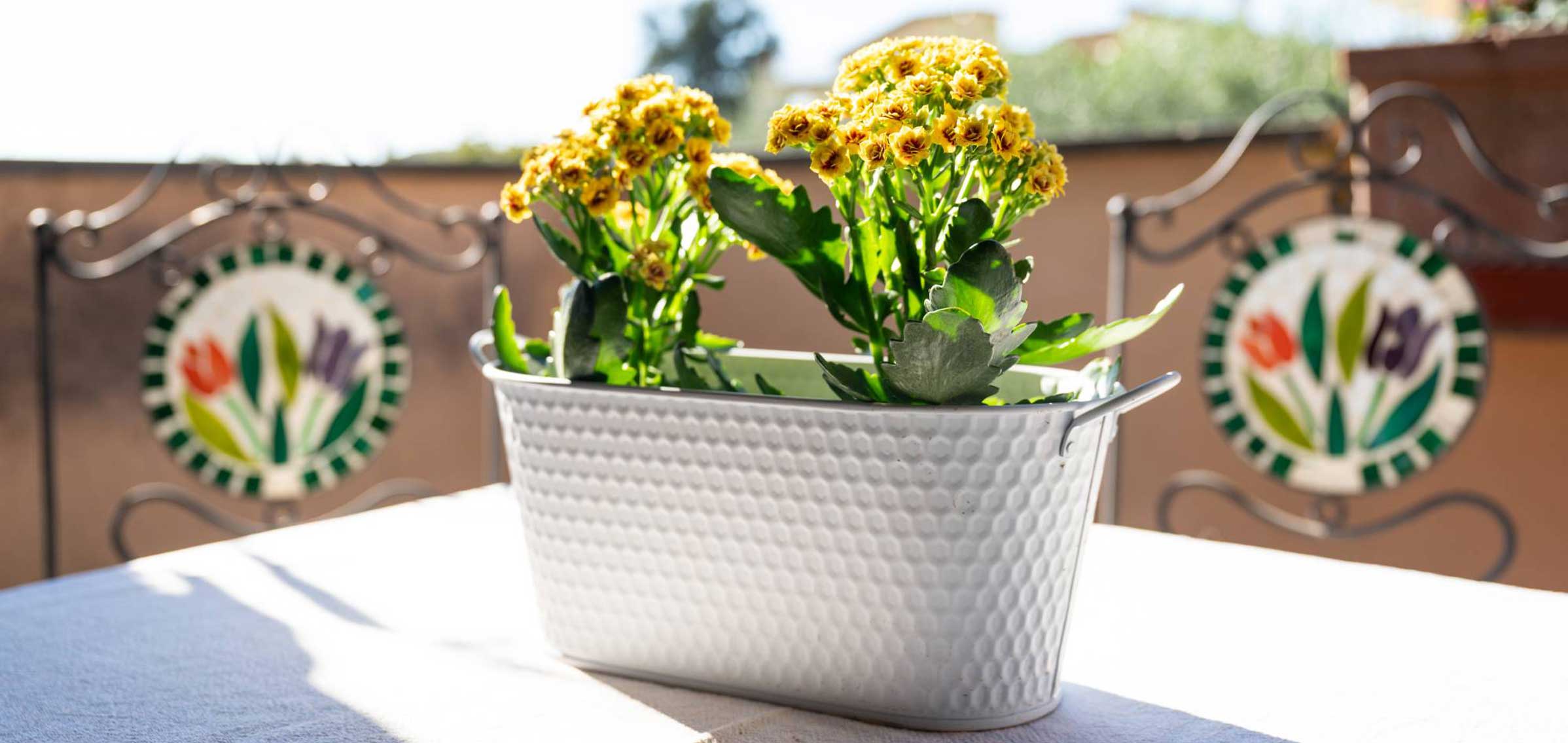 Terrazza dei fiori - La nostra struttura - Decorazione esterni
